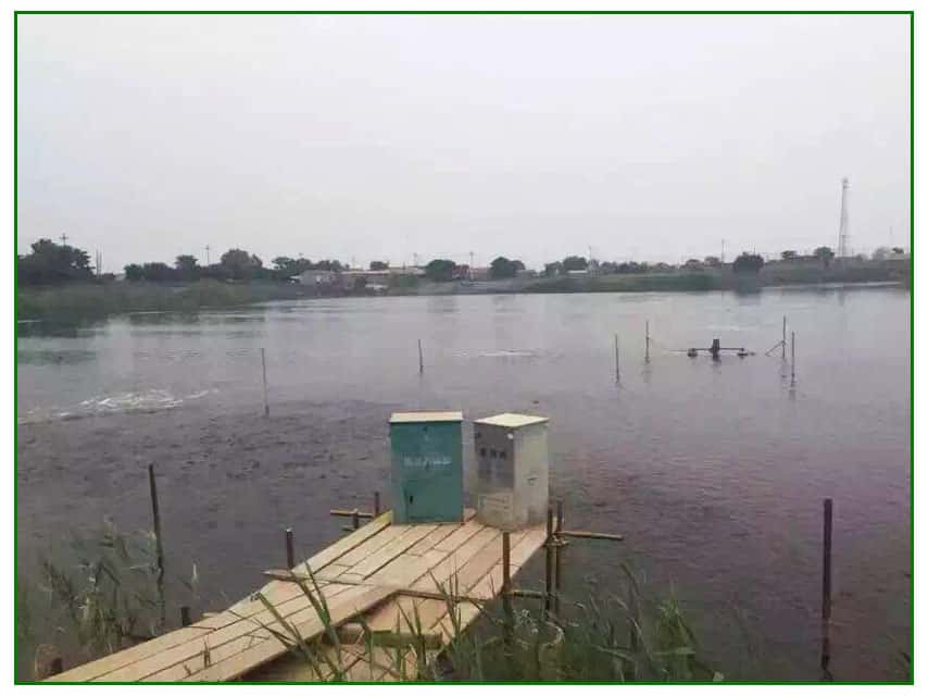 �_�����ſՉ��C�������Bֳ�I