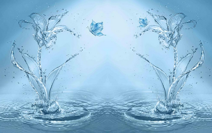 �_���ܿՉ��C